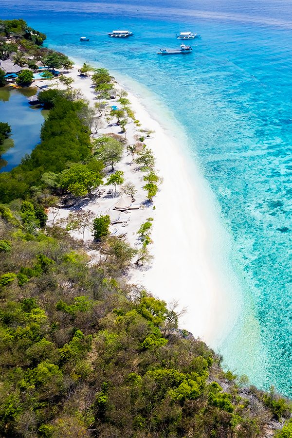 A stretch of trees along Sumilon Beach, shot from above